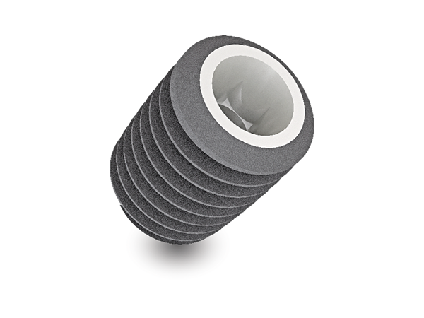 implantswiss
